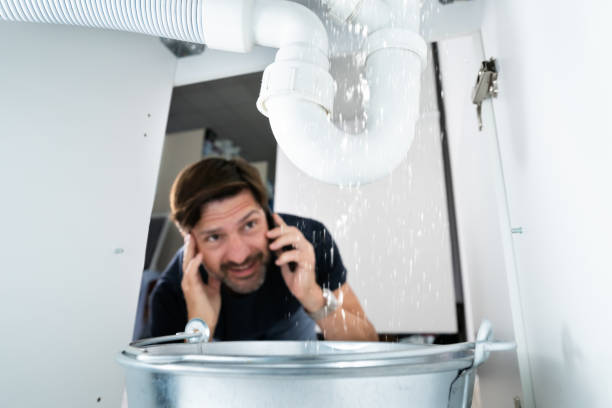 Best Septic Systems  in Hometown, IL
