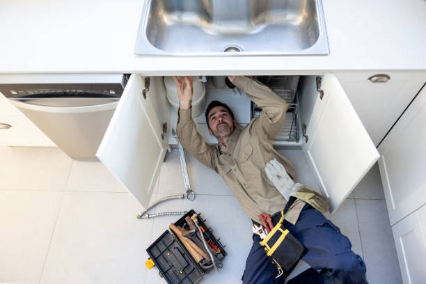 Best Shower Repair Services  in Hometown, IL